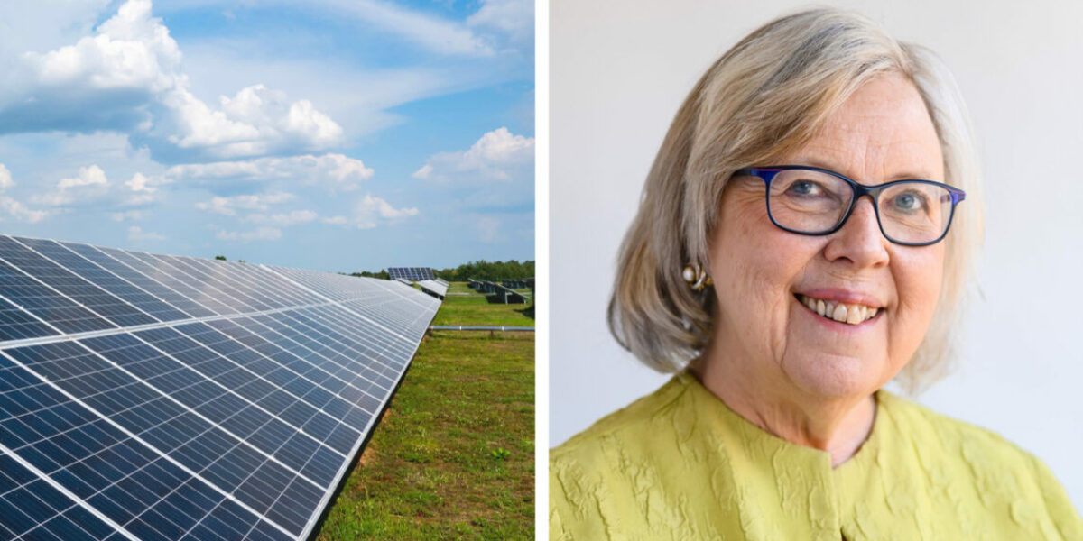 Green leader hails solar panels as ‘Jesus’ Work’ but sidesteps forced labour and toxic waste concerns