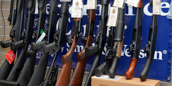 FIRST READING: Internal report shows Ottawa doubtful that wildly overbudget gun ‘buy back’ will ever work