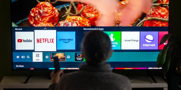 Government blocked streaming sites for public servants as a ‘people management issue,’ documents show