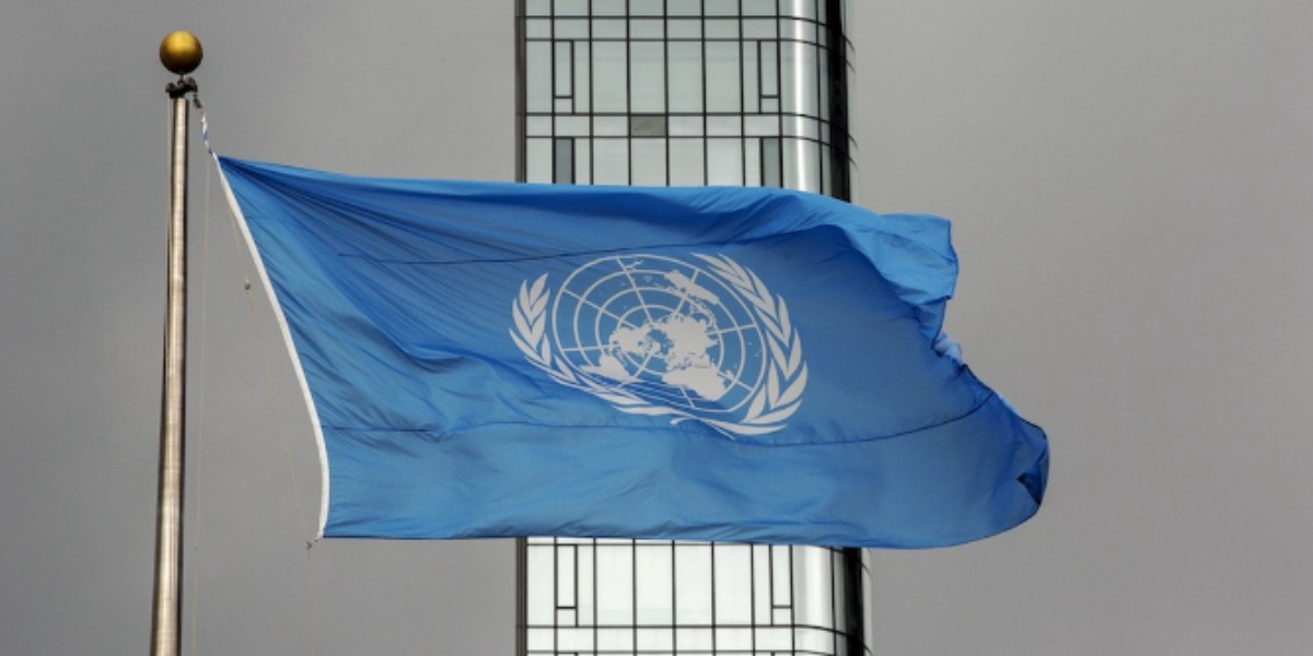 Michael Higgins: Sex is real. Even the UN thinks so