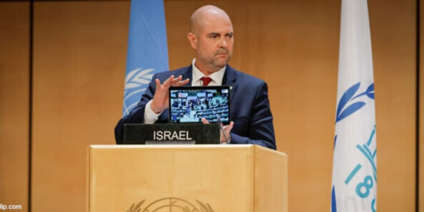 ‘Establish Palestine in London and Paris,’ Israeli lawmaker tells UN gathering
