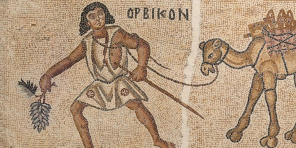 New research reveals how Byzantine farmers adapted to droughts in the Negev’s wine industry