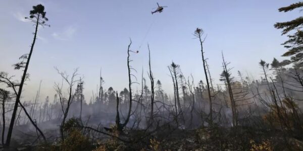 Wildfire burning near Halifax business park remains out of control