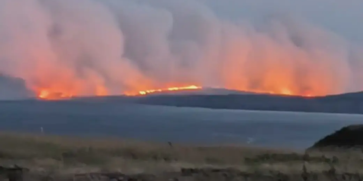 Newfoundland police charge man with arson for starting brush fires amid ban