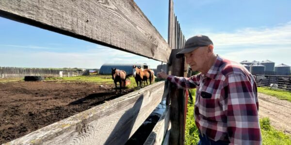 Alberta farmers in this conservative stronghold feel conflicted as Battle River-Crowfoot byelection nears