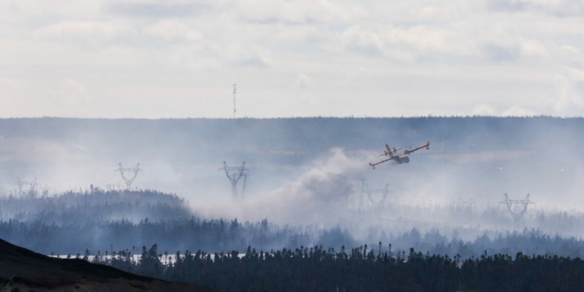Man charged with arson over bush fires in St. John’s, fined $150K