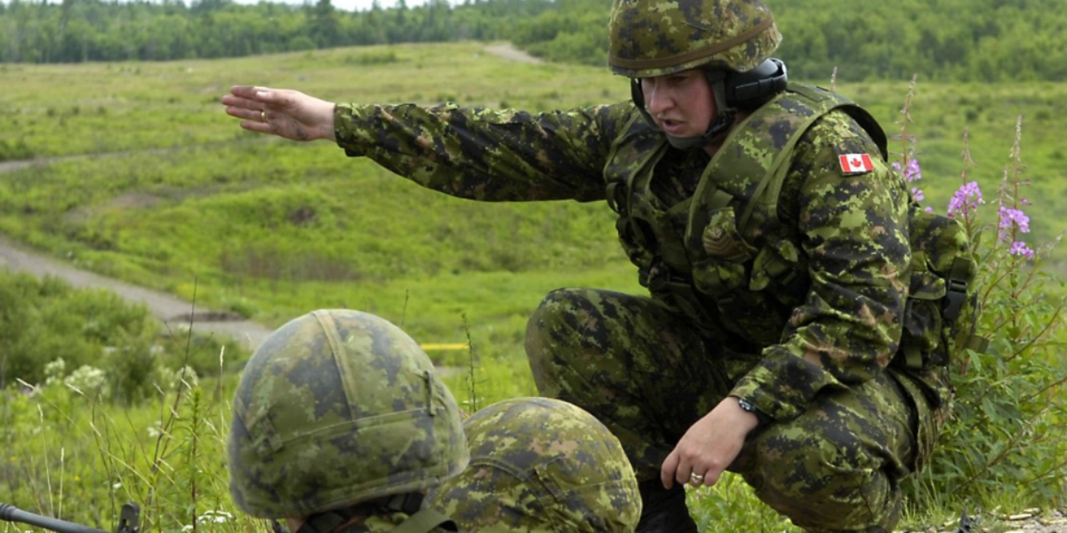 John Robson: Canadians unwilling to defend themselves?