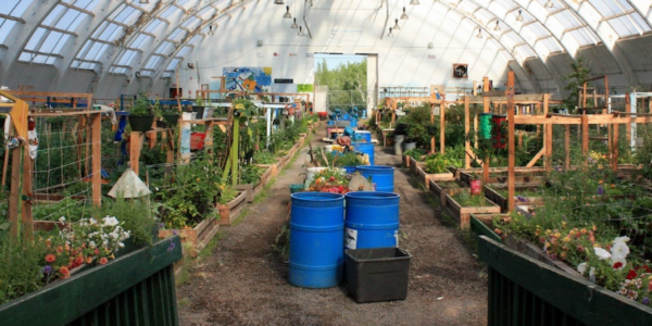 Jamie Sarkonak: DEI gardening – the new Liberal priority for agriculture