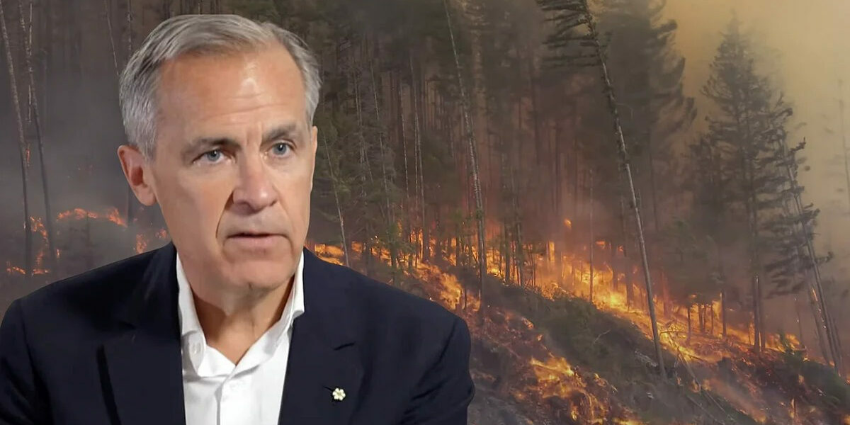 EDITORIAL: From controlled burns to controlled narratives – the politics of fire