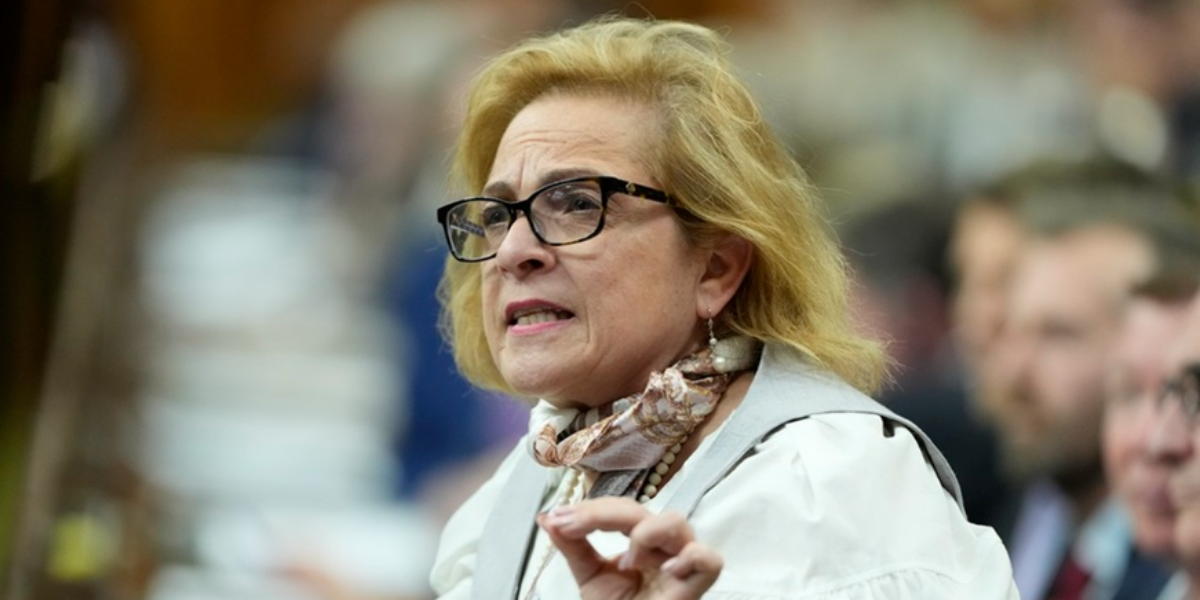 LILLEY: Our asylum system is being abused and needs to change fast