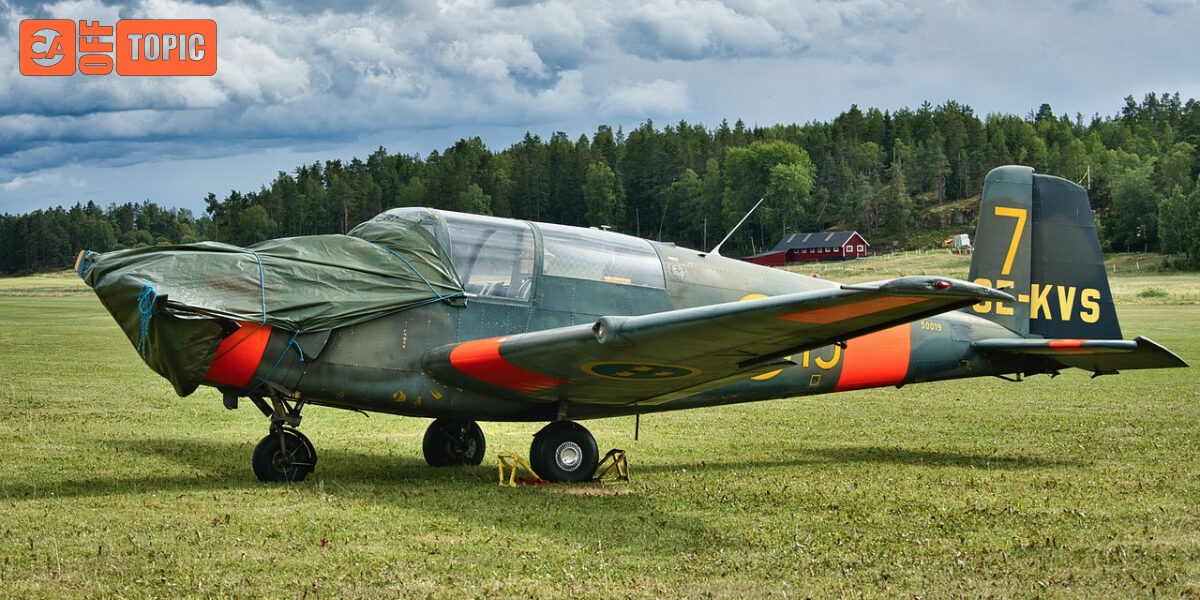 Off Topic – Sun 17 Aug 2025