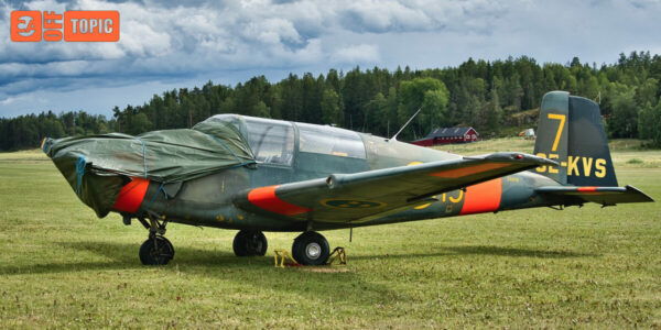 Off Topic – Sun 17 Aug 2025