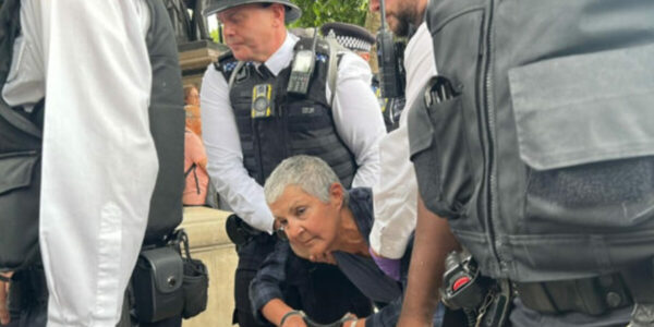 I oppose genocide’: Meet the pensioners risking lengthy prison terms to support Palestine Action