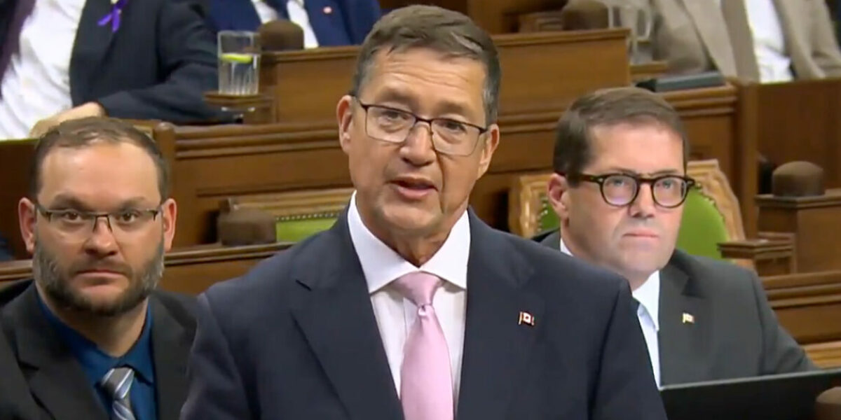 Bill C-3 would grant citizenship to ‘Canadians of convenience,’ Tories say