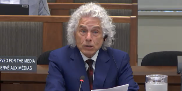 Peter MacKinnon: Canadians should thank Steven Pinker for denouncing DEI in Parliament