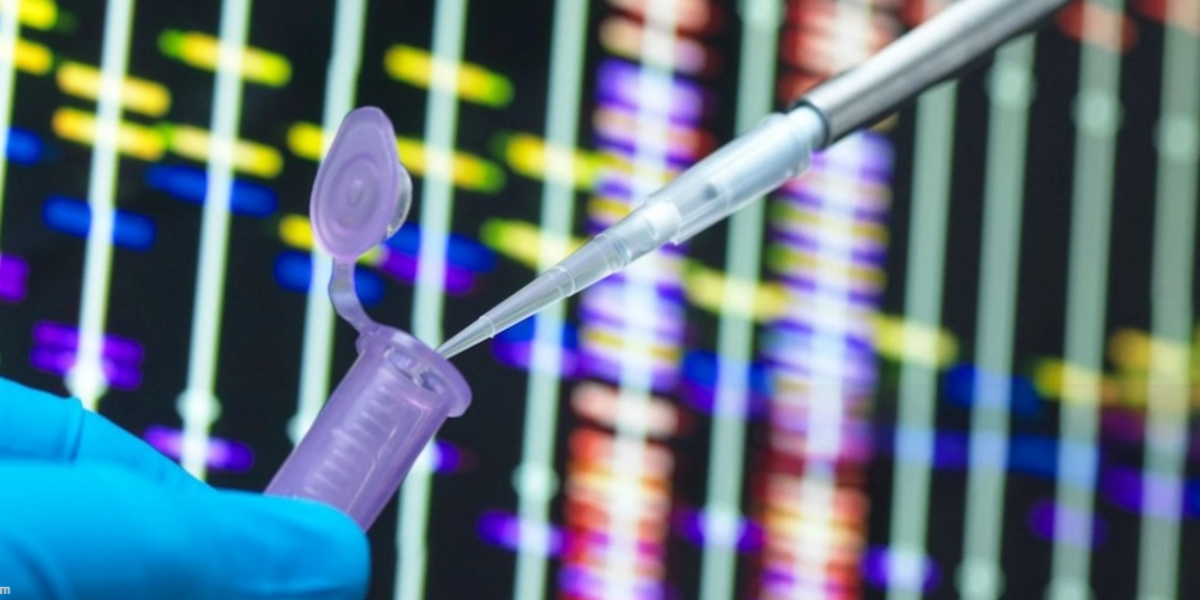 Gad Saad: The Cult of diversity, inclusion, and equity destroys science