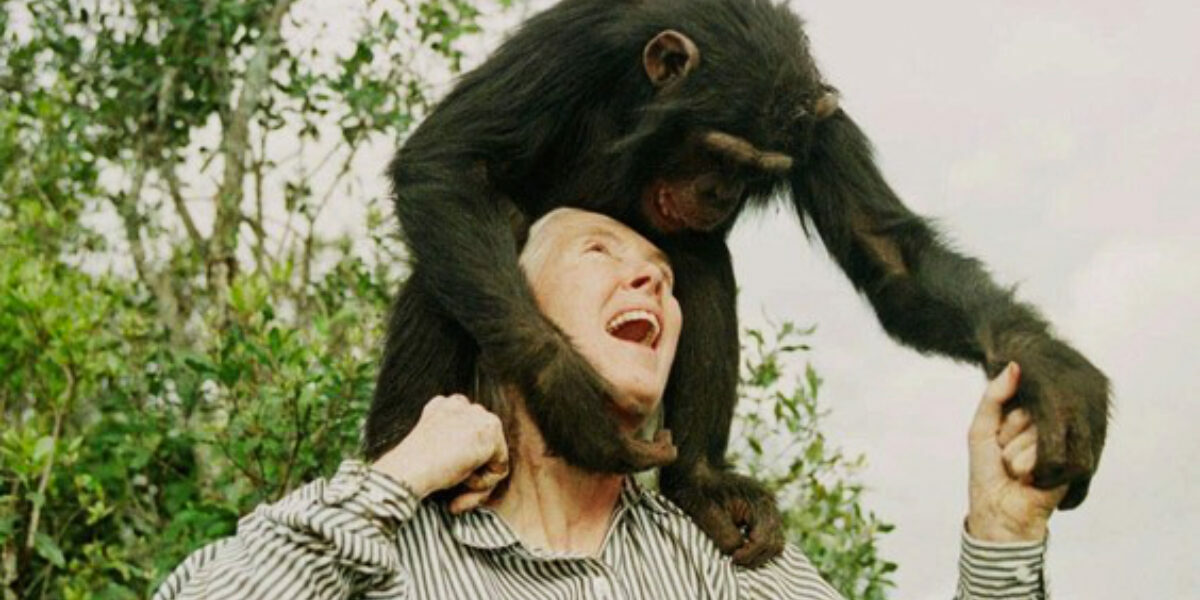 Environmentalists, politicians recall life, influence of primatologist Goodall