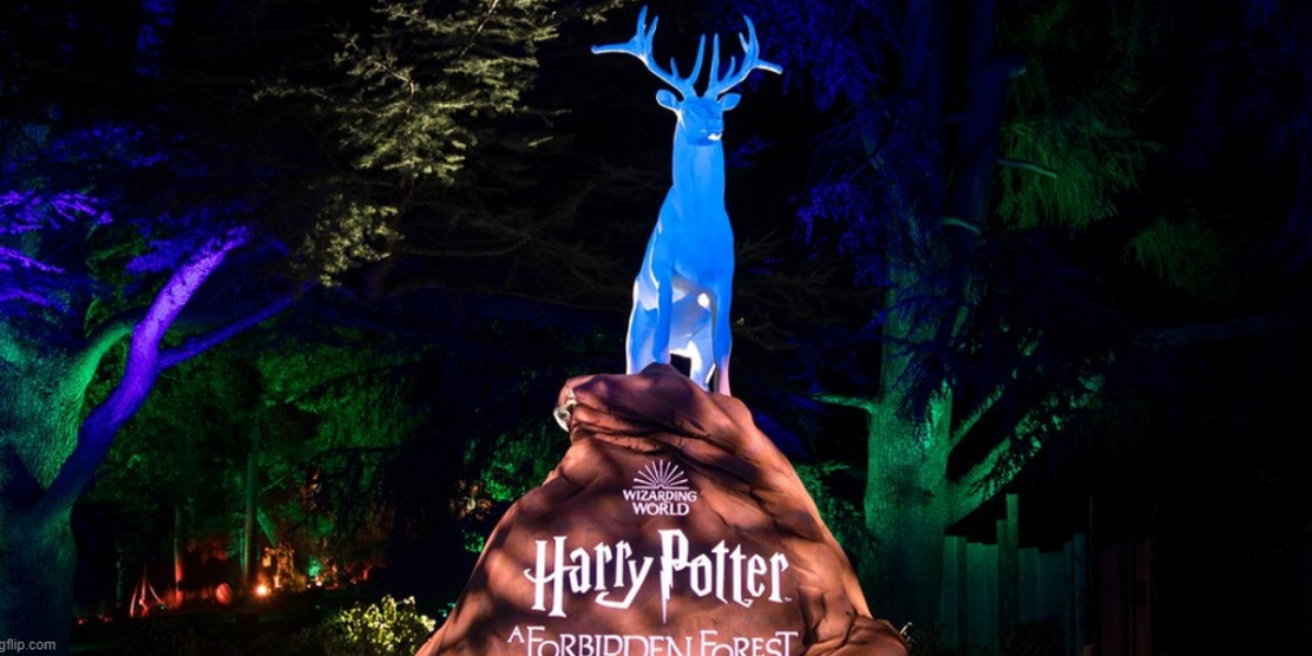 Michael Higgins: J.K. Rowling versus Canadian zealotry