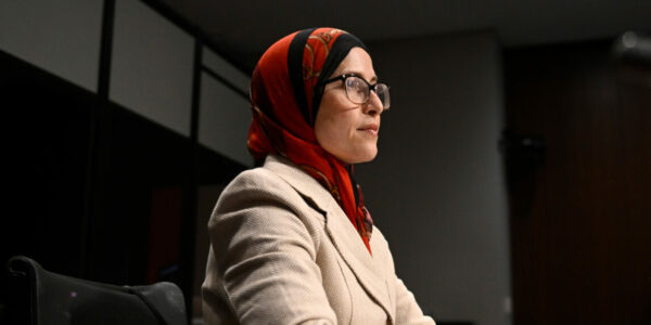 Cabinet advisor used her office to back Palestine supporters, records show