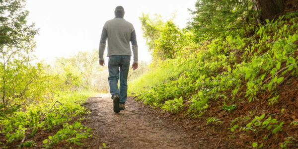 Nova Scotia’s climate madness: Walking in the woods garners larger fine than starting a wildfire