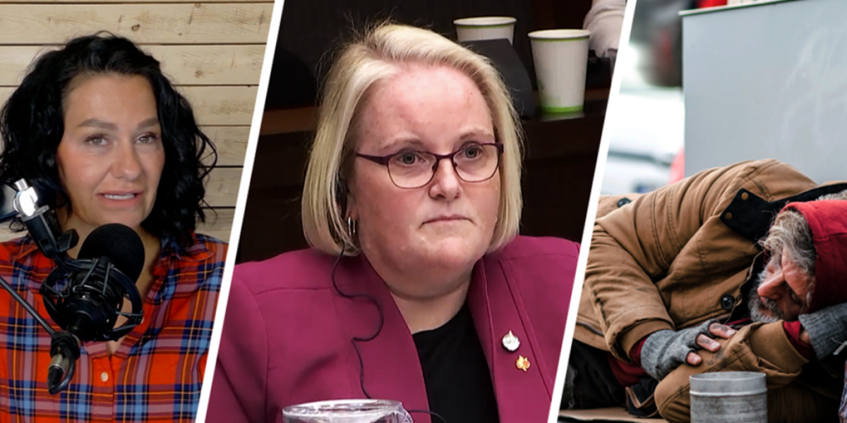 Liberal Cabinet Minister Malfunctions during Committee. This Time, it’s Veterans Affairs