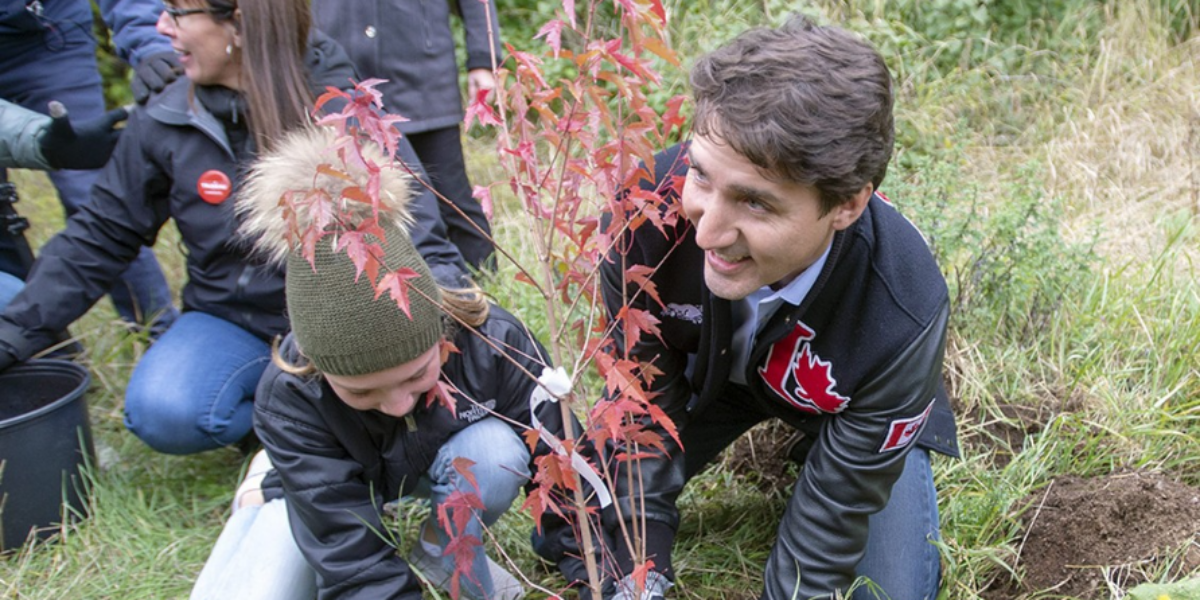 Liberals cancelling Trudeau-era plan to plant two-billion trees