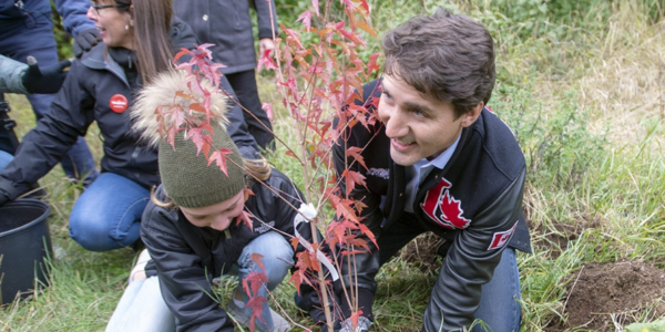 Liberals cancelling Trudeau-era plan to plant two-billion trees