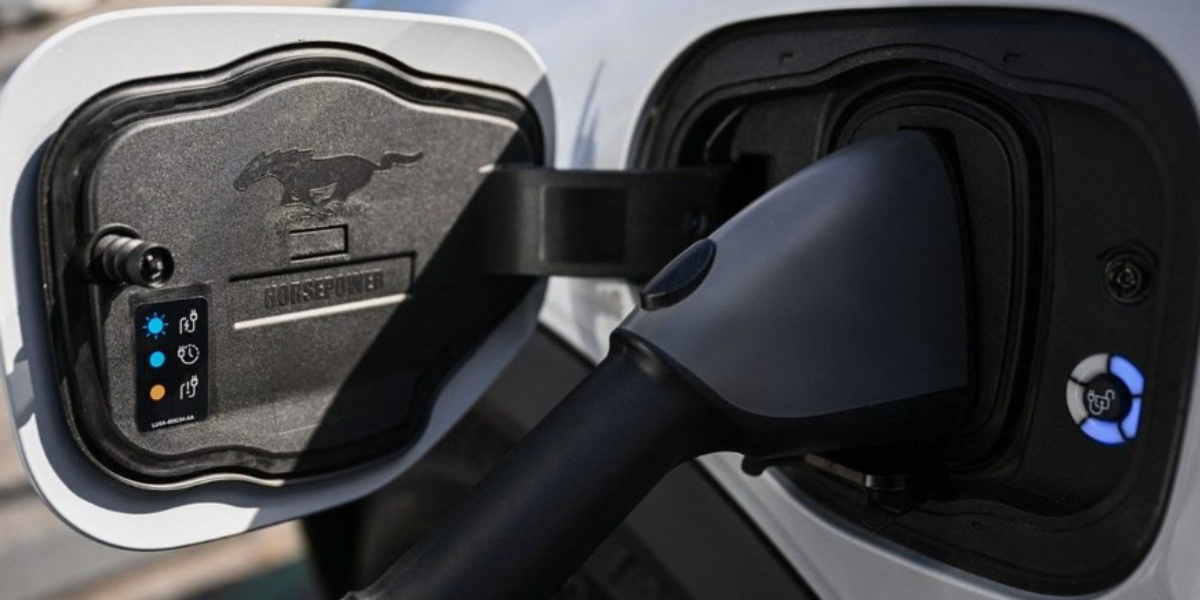 Feds will unveil proposed changes to EV sales mandate this winter: Officials