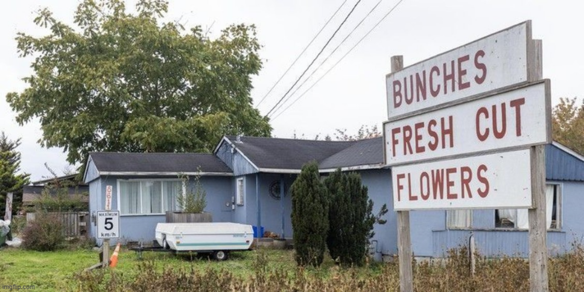 GUNTER: Activist federal judges rewrite Canadian Charter, endanger property ownership