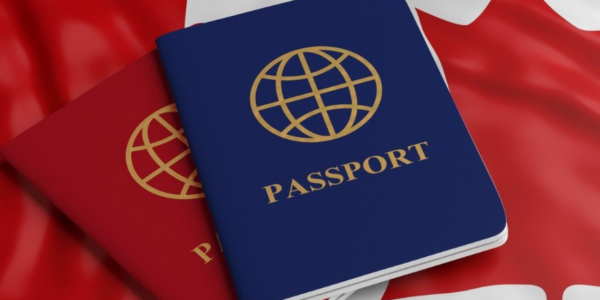 No data exists on citizenship approved or denied due to criminal records