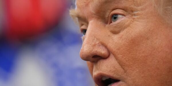 Trump receives MAGA backlash after telling Fox News there aren’t enough ‘talented’ Americans to fill certain jobs