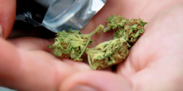 FIRST READING: One tenth of Carney’s budget cuts come from sending less marijuana money to veterans