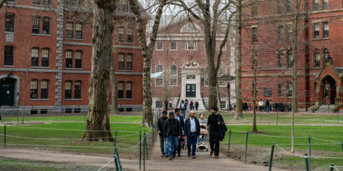 Chris Selley: Who will stop our kids from getting dumber?