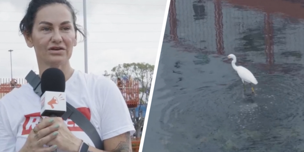 Welcome to Fart Park: Belem’s Sewage-Covered Mirage for the UN Climate Conference