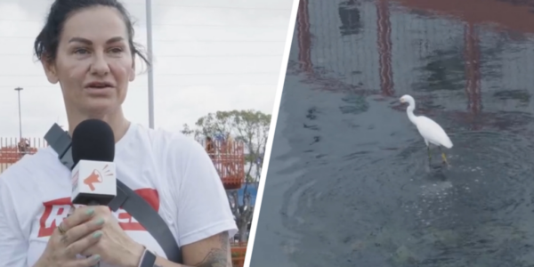 Welcome to Fart Park: Belem’s Sewage-Covered Mirage for the UN Climate Conference