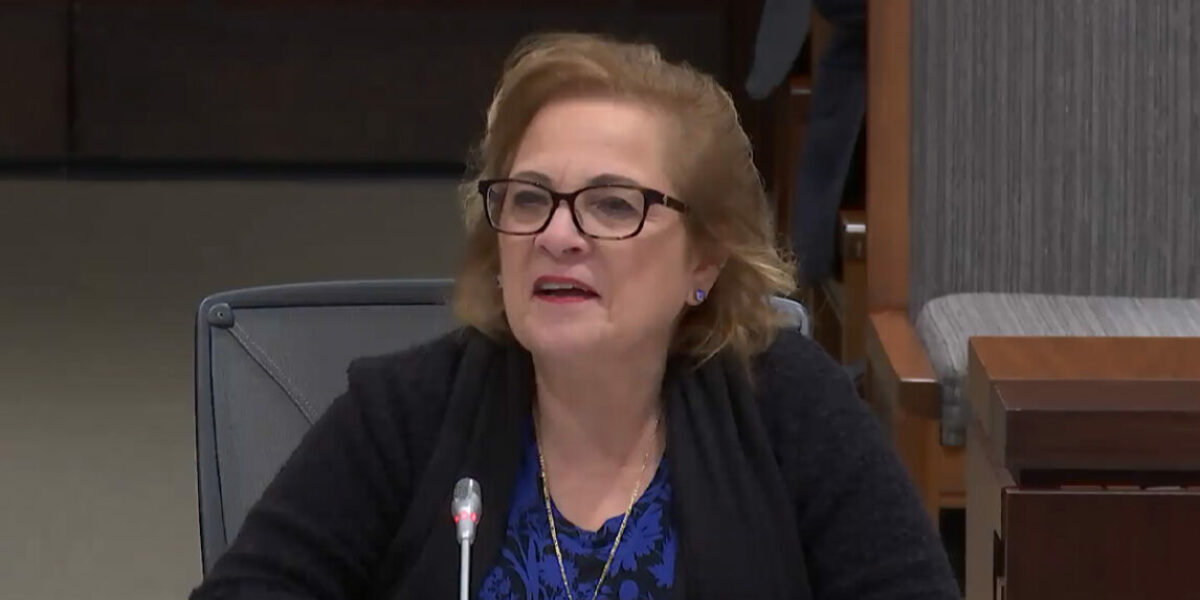 Immigration minister says newcomers pose ‘no strain’ to the healthcare system