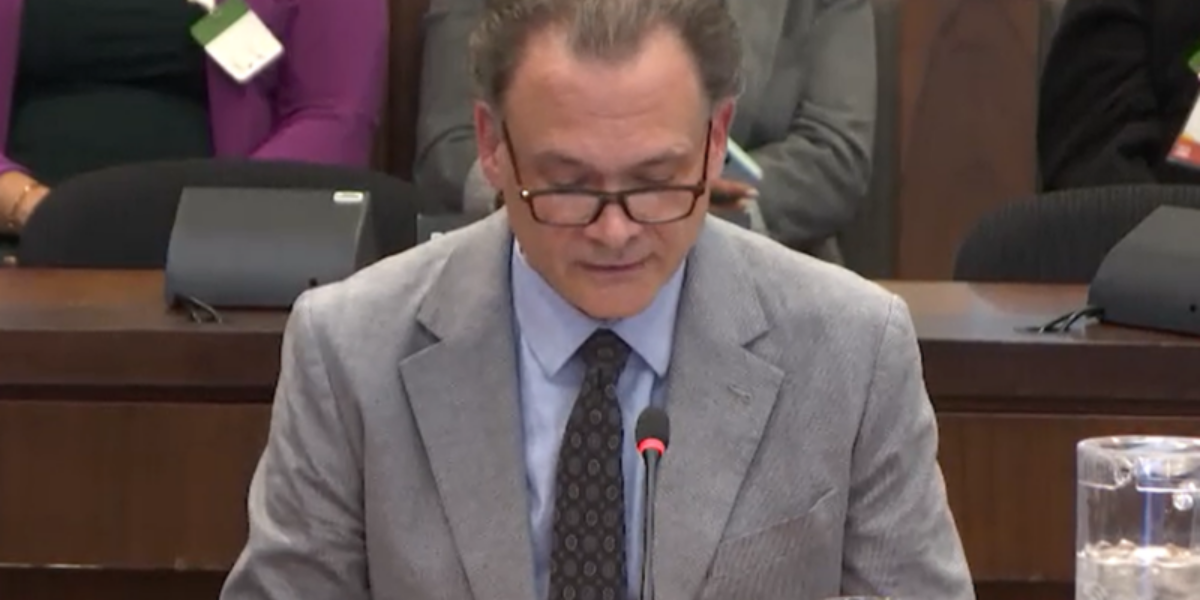 FIRST READING: Migrants are being screened on the honour system, MPs told