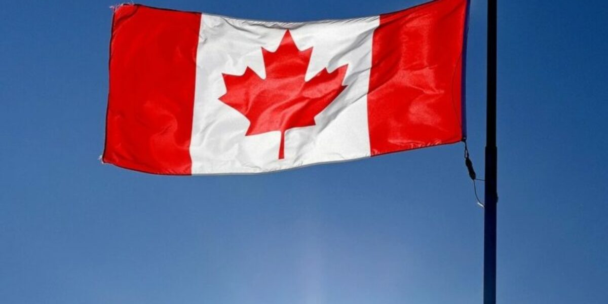 Liberal nationalism is a cringey failure. The new right can step up