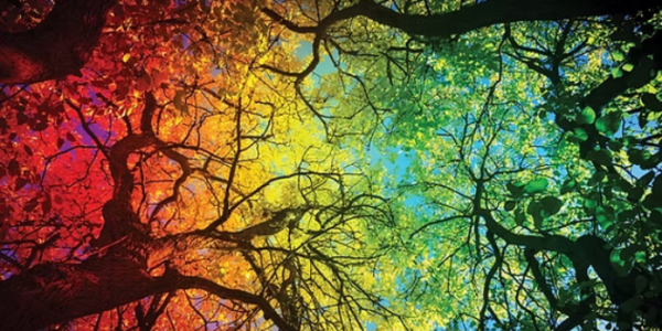 FIRST READING: B.C.’s public school teachers told to ‘queer’ outdoor education