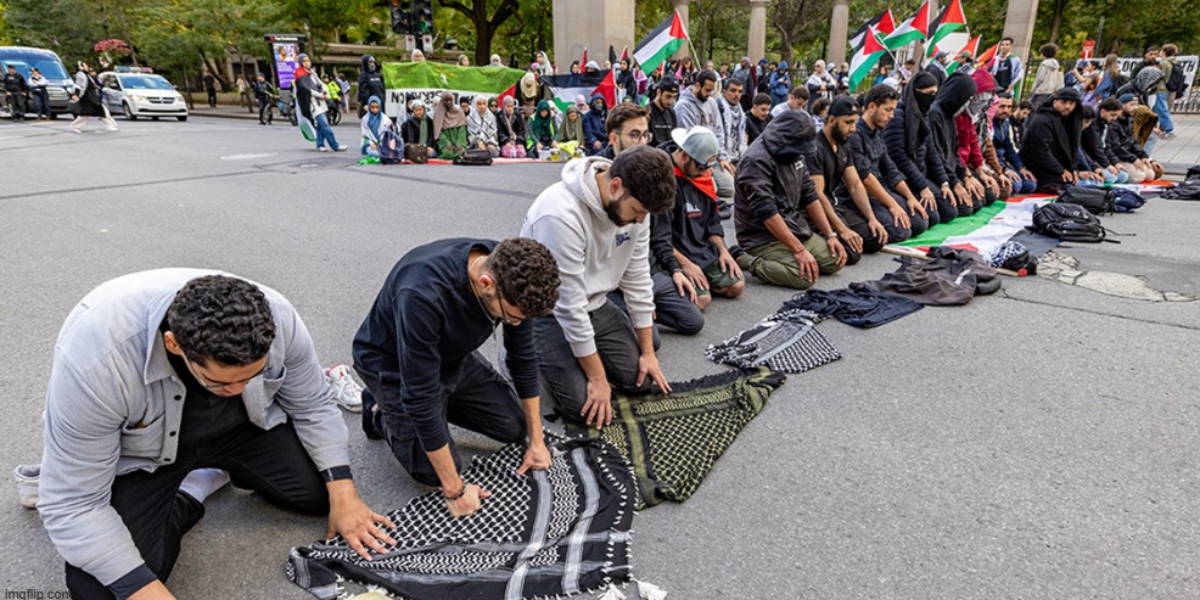 Terry Newman: Terrorism expert has a stark warning for Canada