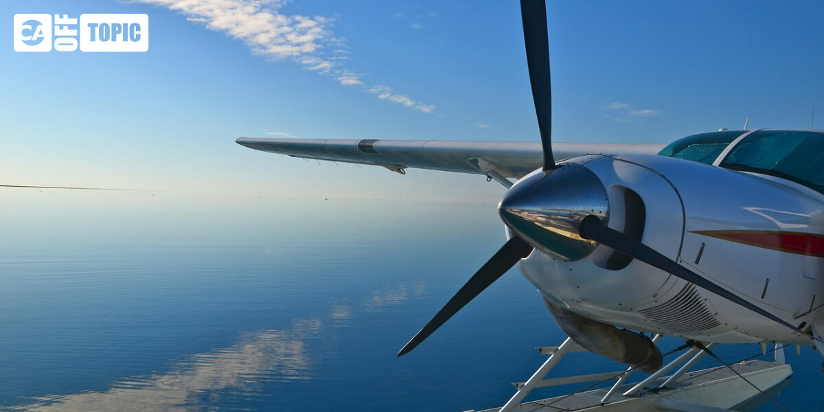 Off Topic – Sun 16 Nov 2025