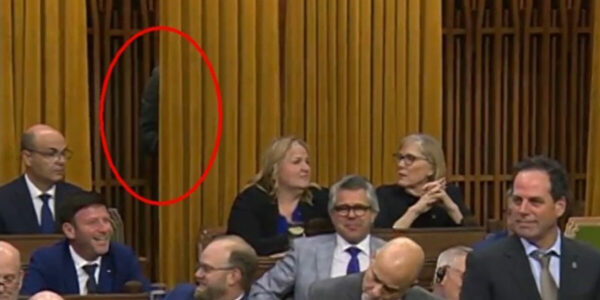 Conservatives ‘literally hid behind the curtains’ as budget vote passes