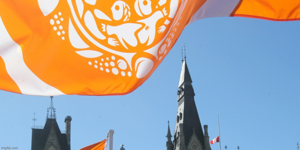 Caroline Elliott: The extreme ideology behind B.C.’s radical reconciliation agenda