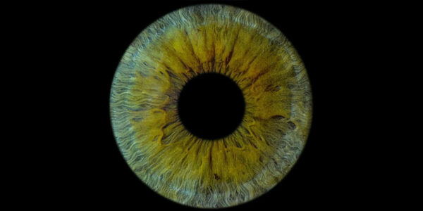 First Human Cornea Transplant Using 3D Printed, Lab-Grown Tissue Restores Sight in a ‘Game Changer’ for Millions Who are Blind