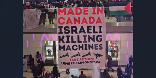 LILLEY: Hamasniks disrupt Boxing Day shopping at Eaton Centre