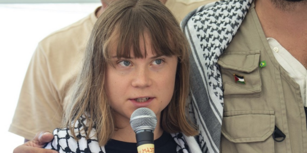 Terry Newman: Greta’s journey from child climate activist to terrorist mascot