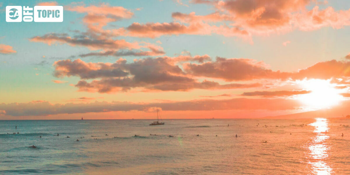 Off Topic – Sat 20 Dec 2025