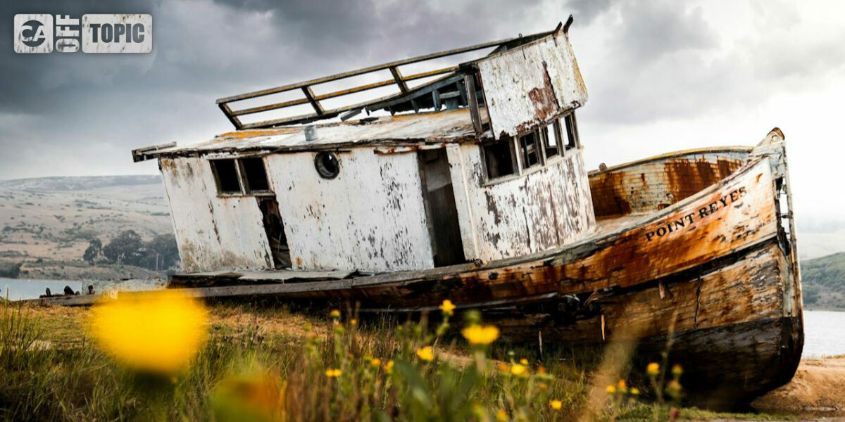 Off Topic – Mon 22 Dec 2025