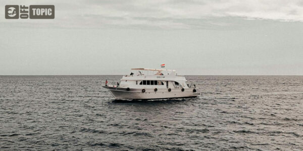 Off Topic – Mon 29 Dec 2025