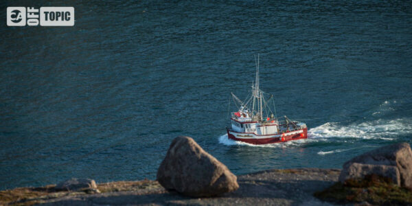 Off Topic – Wed 31 Dec 2025